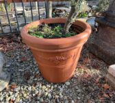 Decorative Garden Pot