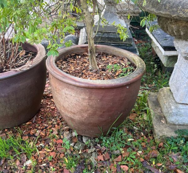Large Rustic Garden Pot
