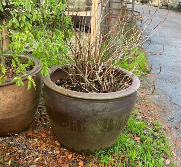 Large Glazed Garden Pot