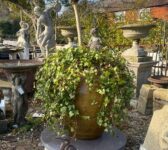 Handsome Glazed Pot