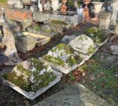 Moss Crowned Stone Tops
