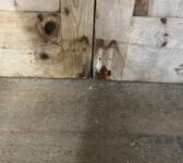 Reclaimed Cupboard Doors